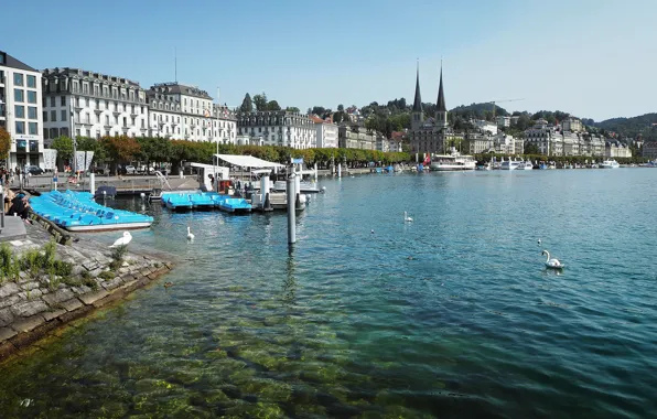 People, building, promenade, catamaran, Luzern