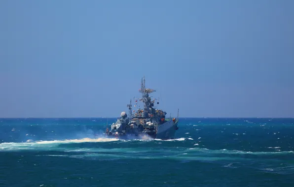 Ship, the black sea, Navy, anti-submarine, small, suzdalets, project 1124m