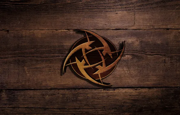 Cs go, NIP, cs go team, csgom, ninjas in pyjamas
