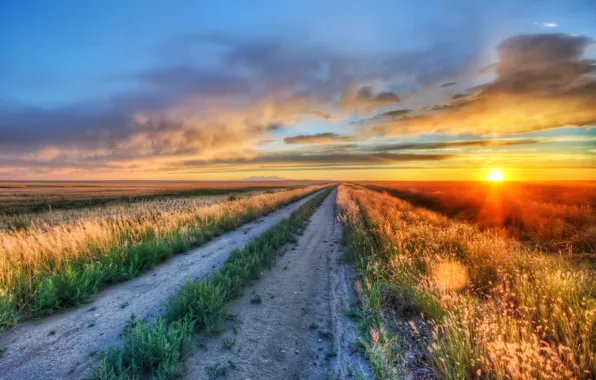 Picture road, greens, field, the sun, landscape, flowers, nature, background, widescreen, Wallpaper, vegetation, field, wallpaper, path, …