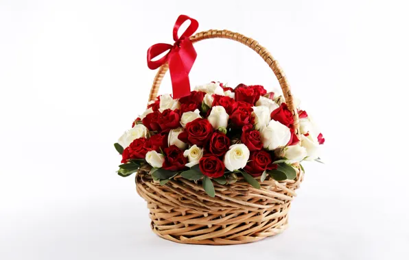 Picture red, basket, roses, rose, beautiful, bow, bow, lovely