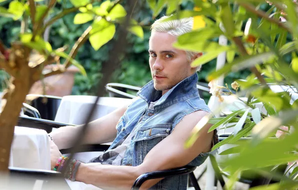 Leaves, musician, table, Jared Leto, Jared Leto, blonde, painted