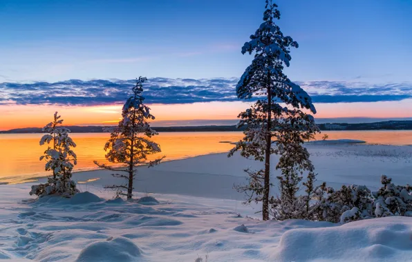 Winter, snow, trees, sunset, lake, Sweden, Sweden, Varmland County