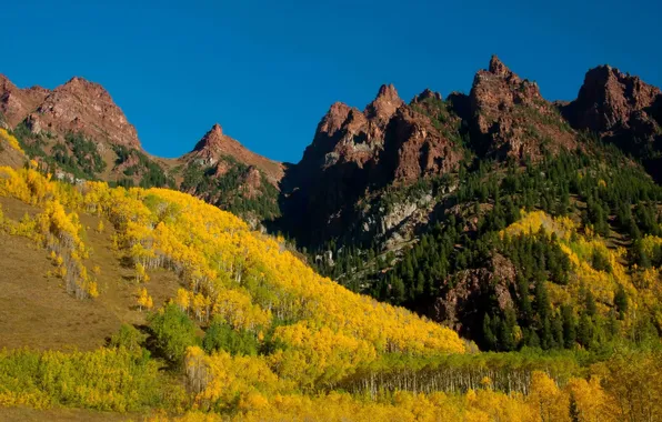 Forest, trees, mountains, yellow, Colorado, Maroon Bells