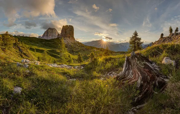 Grass, mountains, dawn, hills, stump, slope