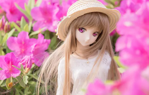 Flowers, doll, hat