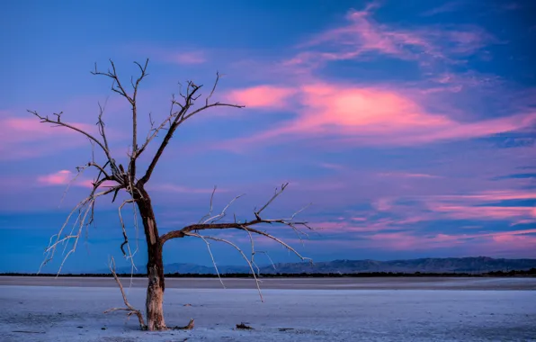 The sky, clouds, trees, mountains, the evening