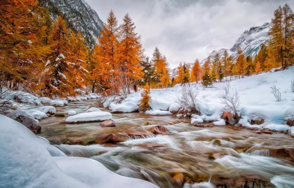 Picture forest, snow, nature, river