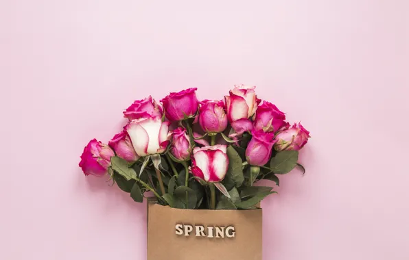 Picture flowers, roses, pink, pink, flowers, beautiful, spring, roses