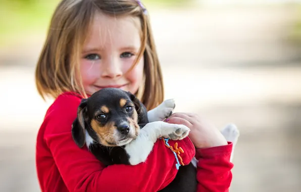 Picture girl, puppy, dog, beagle