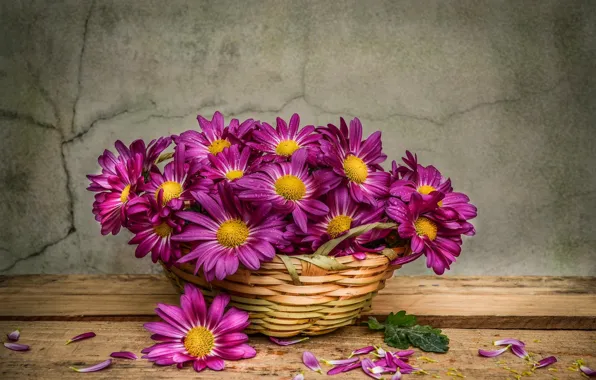 Picture drops, flowers, chamomile, still life