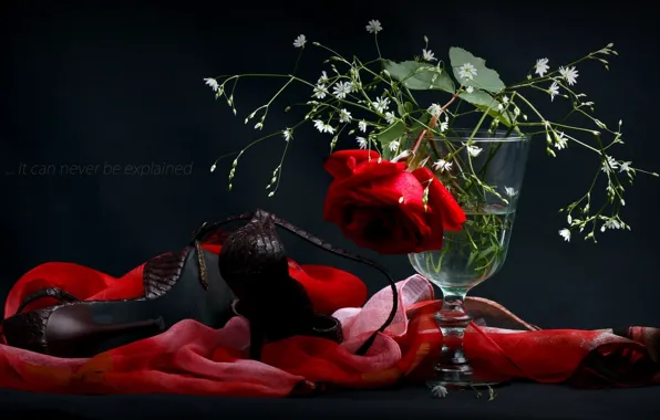 Flowers, rose, shoes, vase, shawl