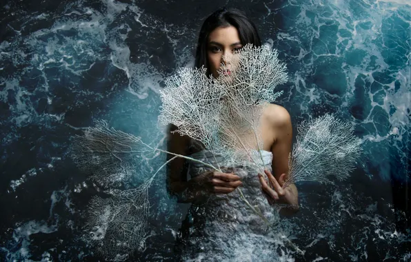 Sea, water, girl, corals