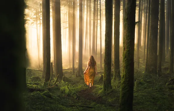 Forest, girl, nature