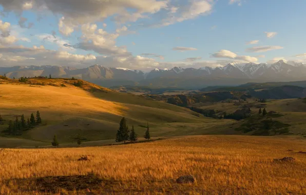 Grass, sky, trees, field, landscape, nature, mountains, clouds