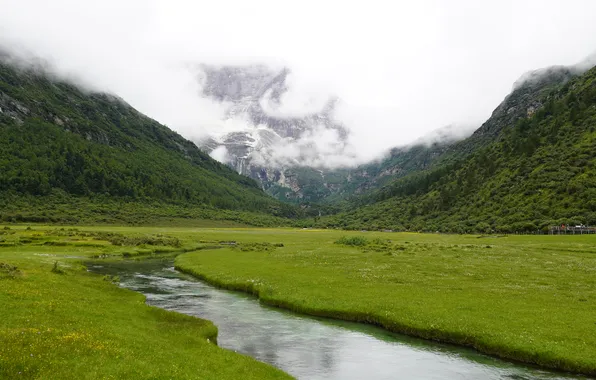 Forest, grass, clouds, trees, mountains, rocks, valley, river
