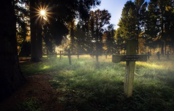 Light, cross, morning, cemetery