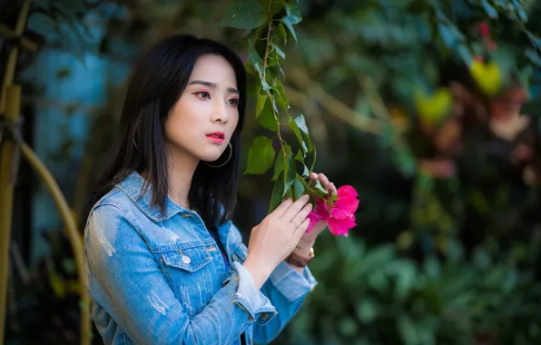 Leaves, branches, Asian, bokeh, dzhinsovka