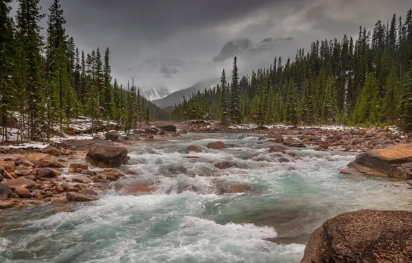 Winter, forest, snow, mountains, fog, river, stones, shore