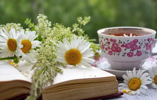 Tea, chamomile, mug, book, composition