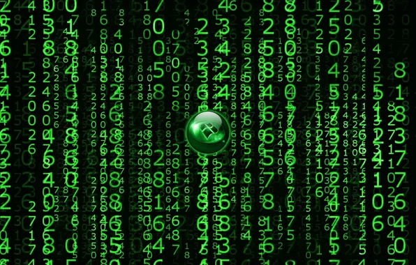 Code Hacker green HD phone wallpaper  Peakpx