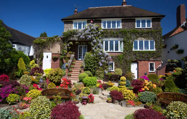 Flowers, design, house, England, garden, ladder, Sunny, benches