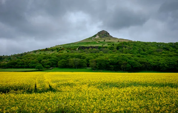Field, the sky, trees, clouds, rock, England, mountain, rape