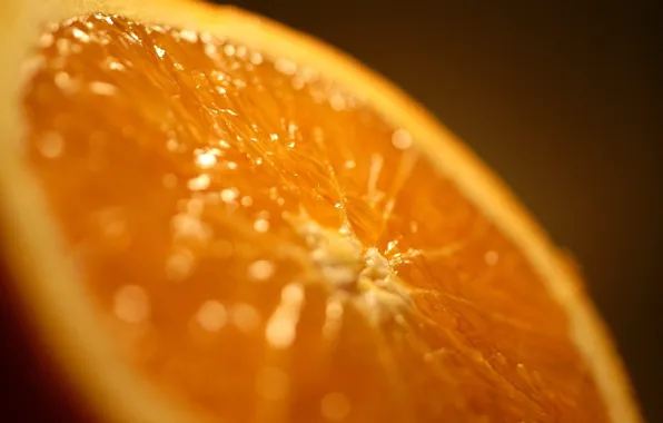 Orange, orange, citrus