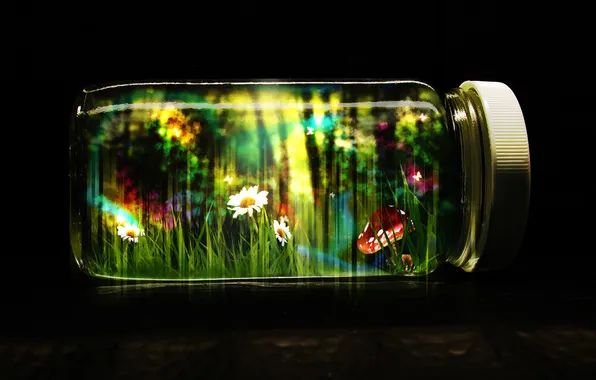 Picture Life, Life, Life in a Jar, Bubble