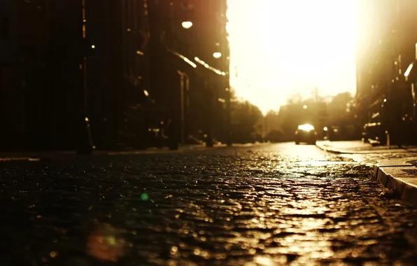 Road, the sun, street