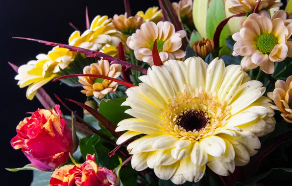 Rose, bouquet, chrysanthemum, gerbera