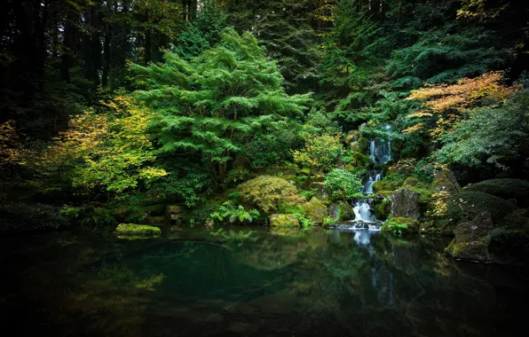 Picture trees, nature, lake, waterfall, garden