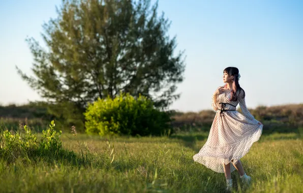 Picture summer, girl, nature