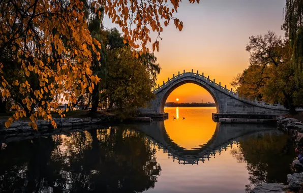 Autumn, the sun, trees, sunset, birds, bridge, lake, pond