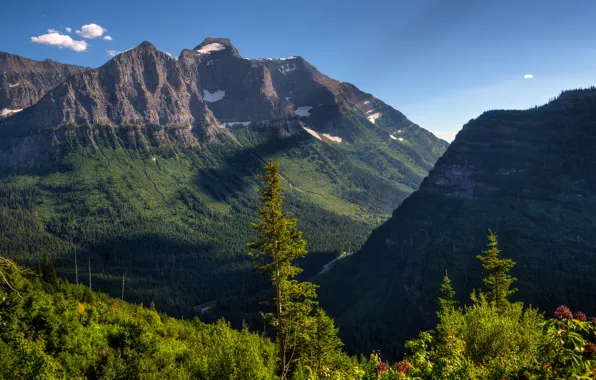 Picture the sky, trees, mountains, valley, slope
