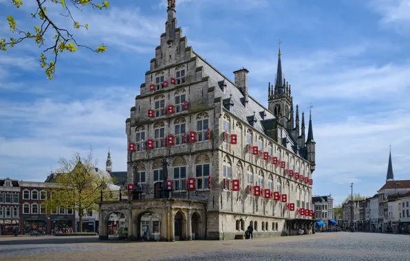 Picture street, building, home, area, Netherlands, bridge, Gouda