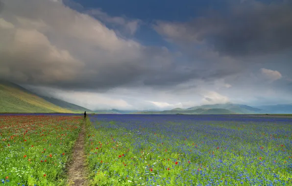 Picture field, the sky, nature, people