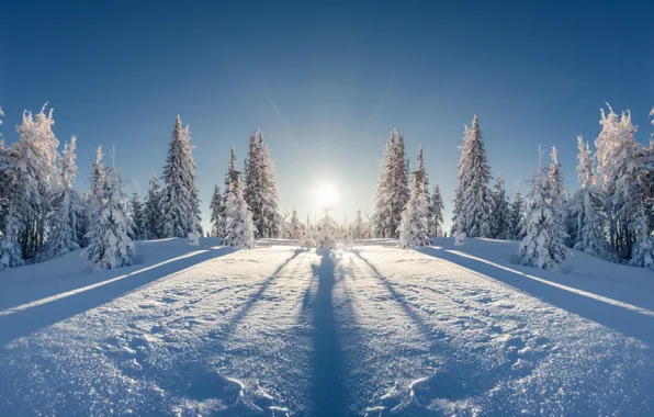 Winter, field, forest, the sun, rays, snow, landscape, reflection