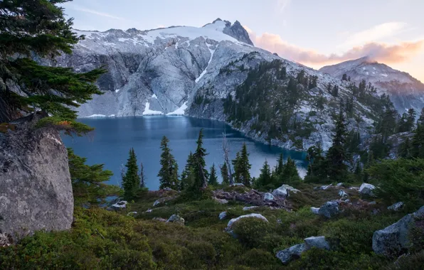 Forest, snow, trees, mountains, lake, stones, rocks, USA