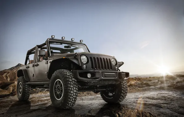 Picture Stealth, Wrangler, Jeep, 2014, Unlimited Rubicon