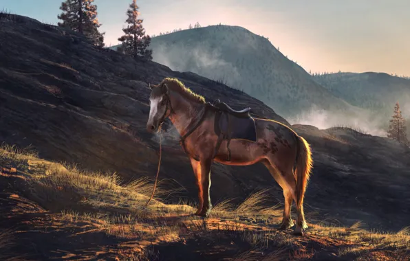 Picture mountains, horse, nature, sunrise, horse, Andrii Shafetov