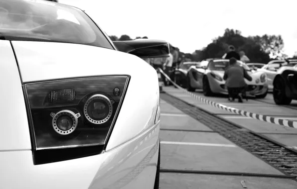 Picture cars, auto, Lamborghini Murcielago, LP640R