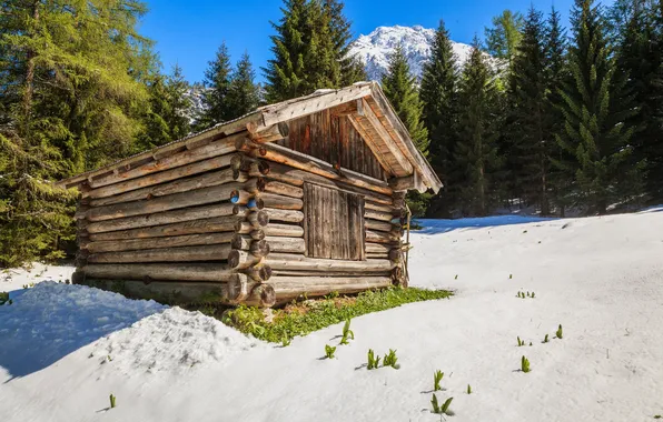 Winter, forest, the sun, snow, trees, mountains, house, Austria