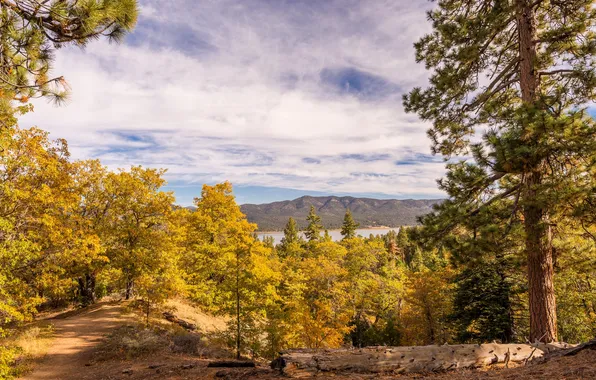 Autumn, trees, mountains, lake, CA, USA, Big Bear Lake