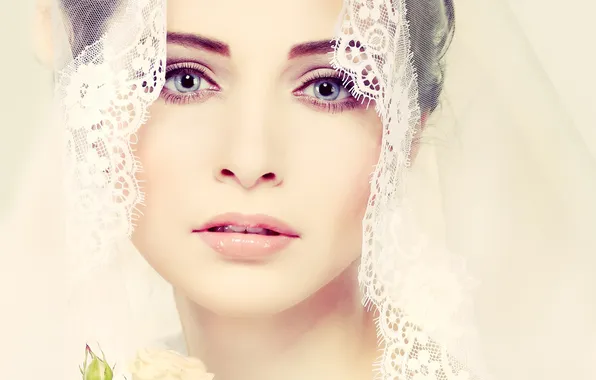 Picture face, rose, Girl, the bride, veil