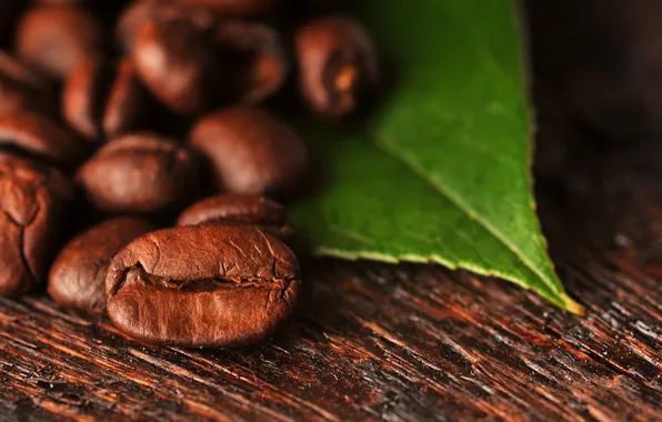 Picture macro, sheet, coffee, grain, macro, leaf, beans, coffee