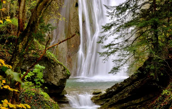Picture water, trees, stones, rocks, waterfall, boulders