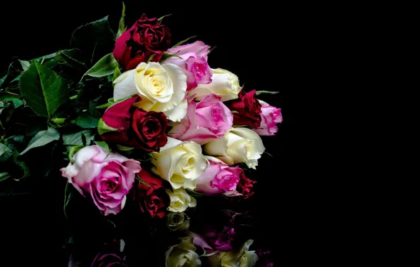 Picture roses, bouquet, black background