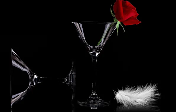 Flowers, celebration, cups, feather, still life closeup