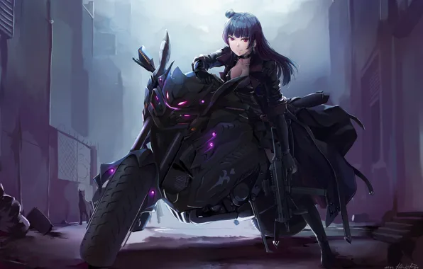 Picture cat, girl, night, motorcycle